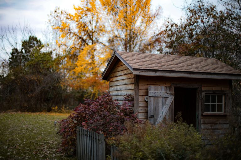 Abri de jardin en bois : 12 erreurs qui ruinent le projet (et comment les éviter)