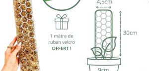 Tuteur transparent : comment choisir un support discret et efficace pour vos plantes ?