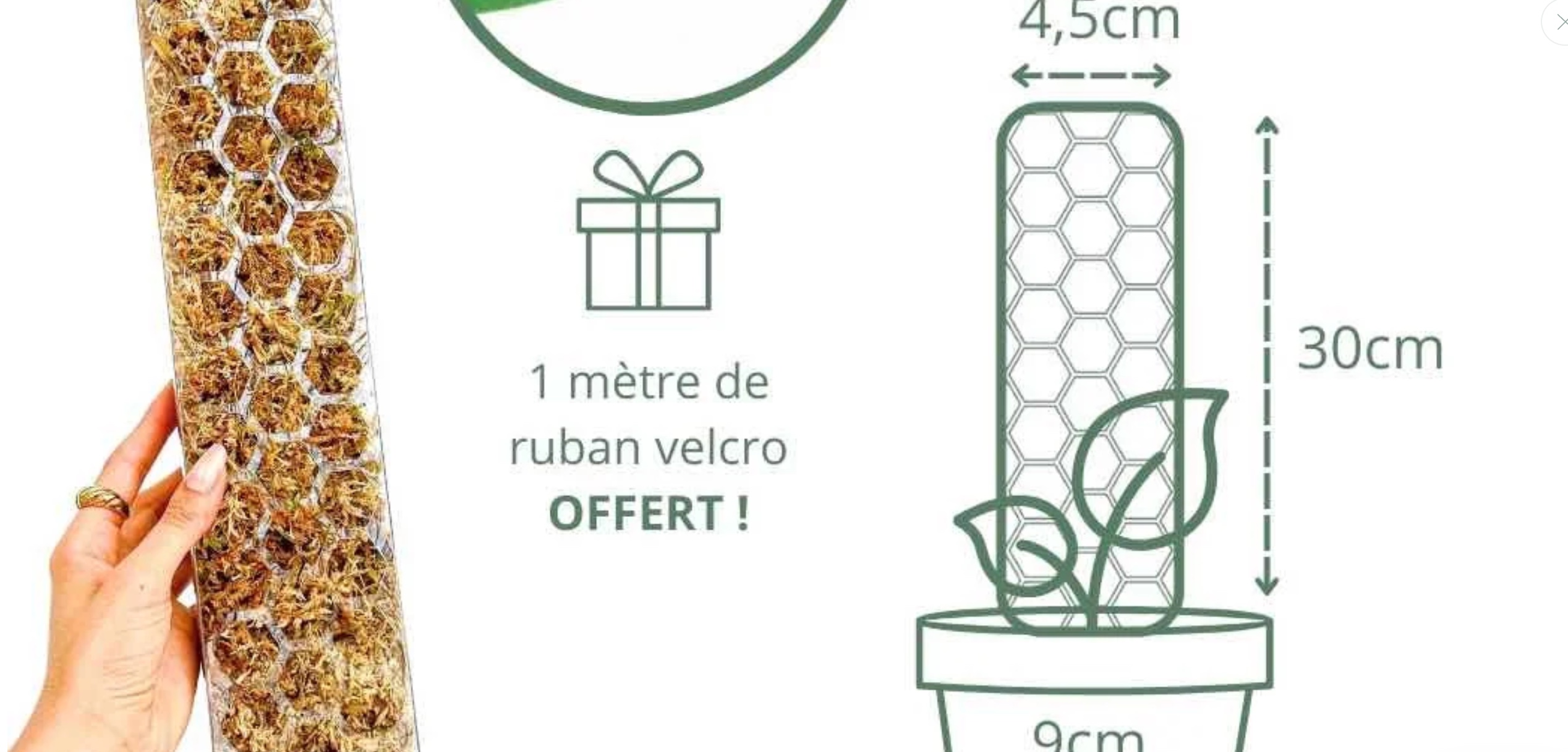 Tuteur transparent : comment choisir un support discret et efficace pour vos plantes ?